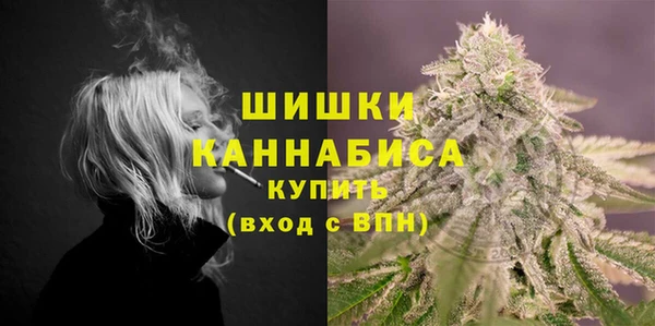 твердый Богородск